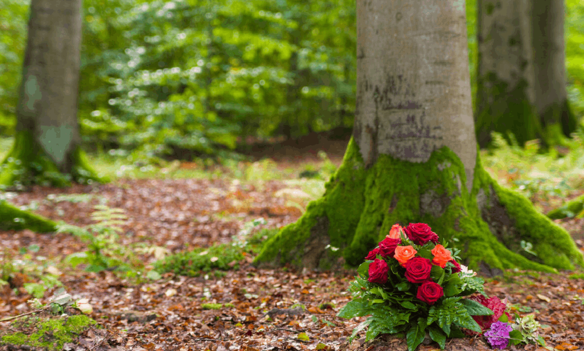 A bouquet of red and orange roses placed at the base of a moss-covered tree in a peaceful forest setting.